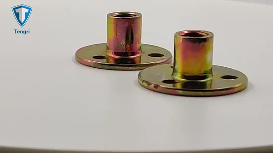 T Nut Three Hole Nut Cassette Nut Weld Nut Step Nut